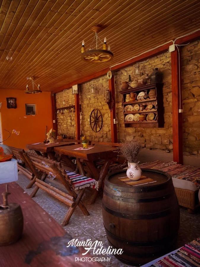 Casa Pe Valea Hartibaciului Barcut Exterior foto