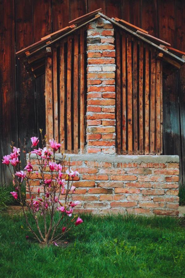 Casa Pe Valea Hartibaciului Barcut Exterior foto