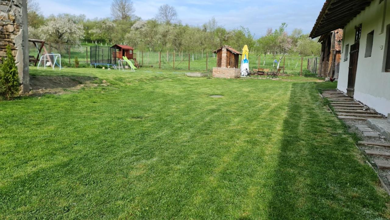 Casa Pe Valea Hartibaciului Barcut Exterior foto