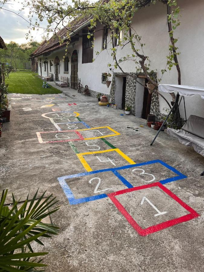 Casa Pe Valea Hartibaciului Barcut Exterior foto