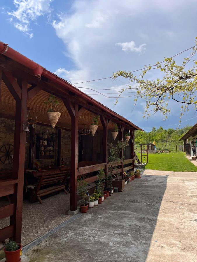 Casa Pe Valea Hartibaciului Barcut Exterior foto