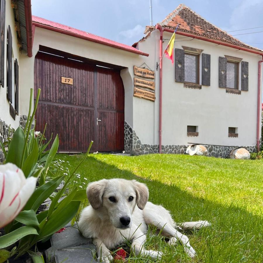 Casa Pe Valea Hartibaciului Barcut Exterior foto